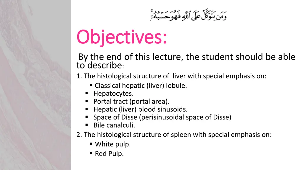 objectives objectives by the end of this lecture