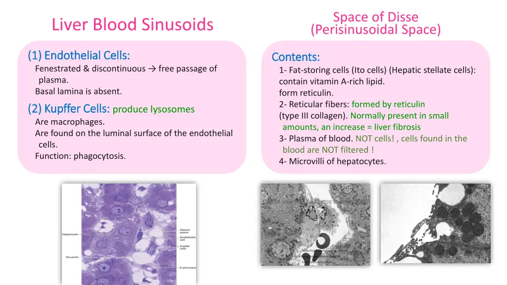 space of disse perisinusoidal space