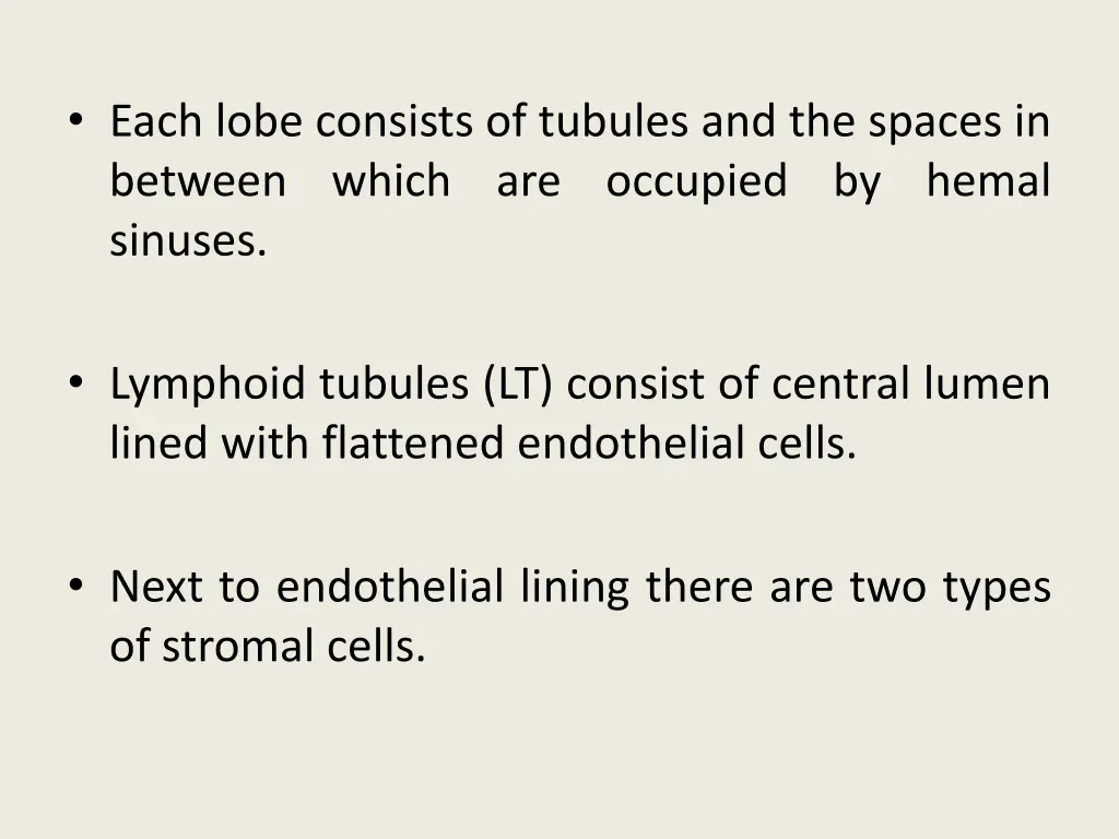 each lobe consists of tubules and the spaces