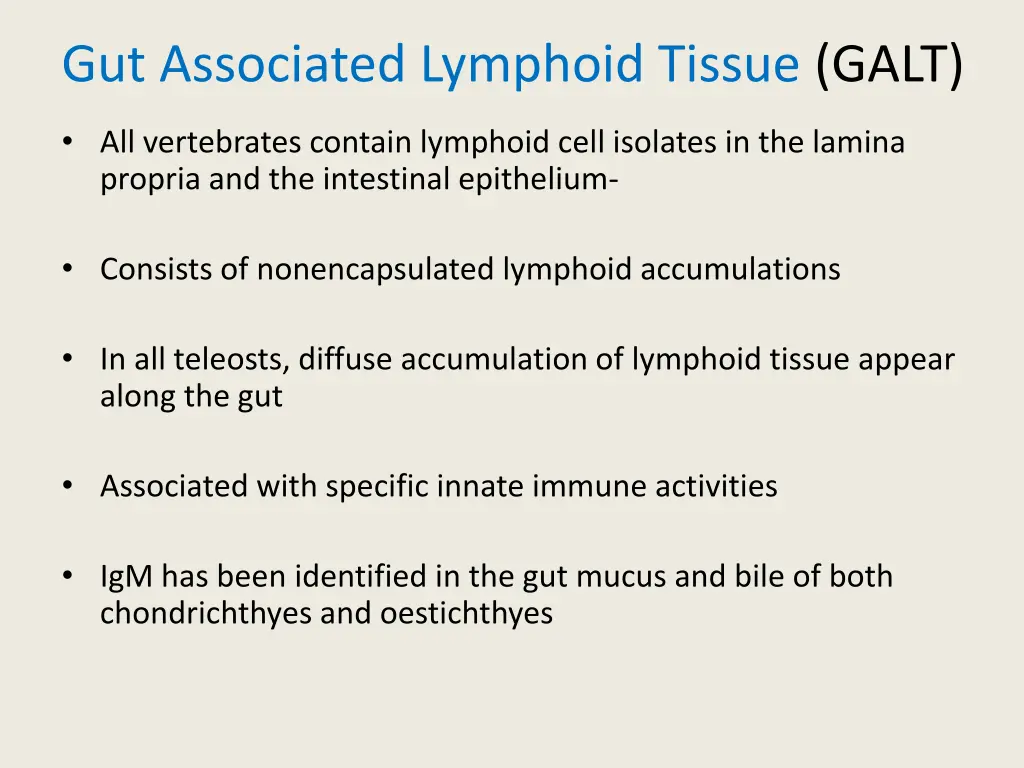 gut associated lymphoid tissue galt