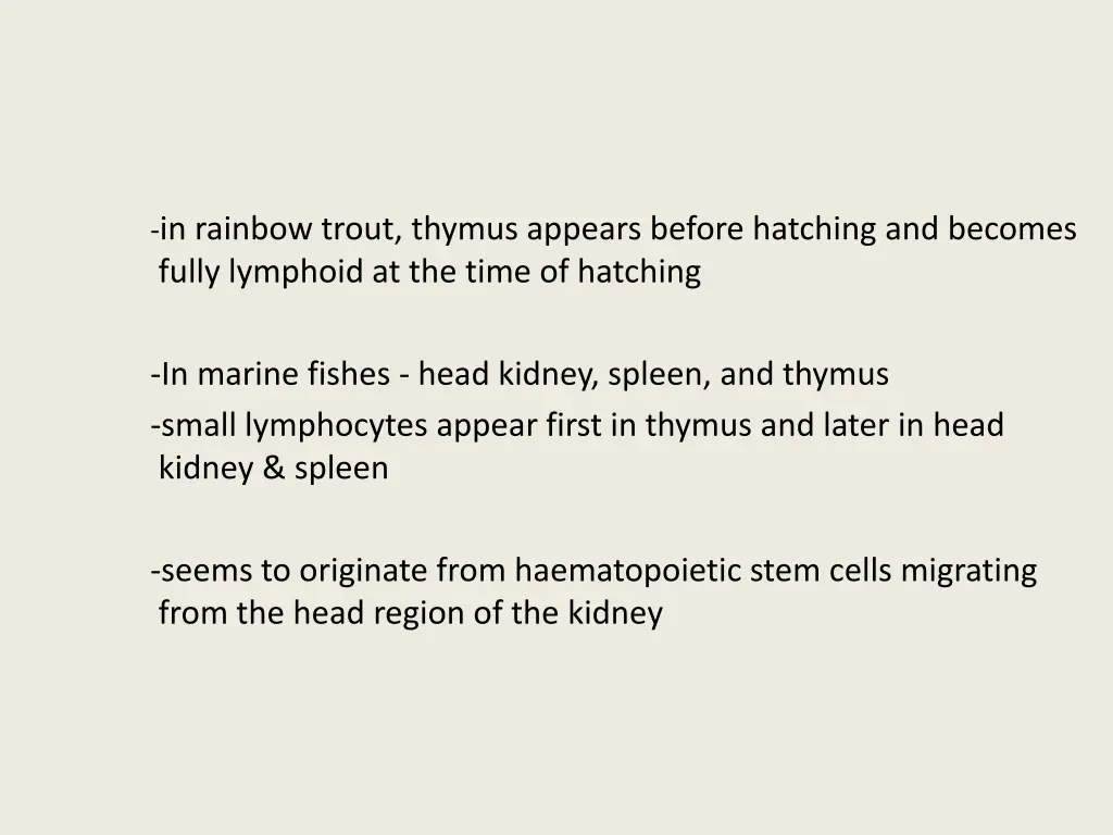 in rainbow trout thymus appears before hatching