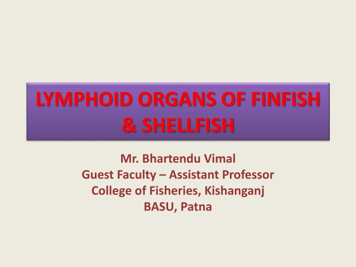 lymphoid organs of finfish shellfish