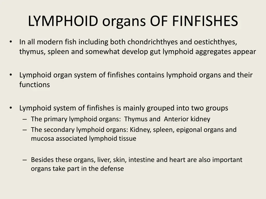 lymphoid organs of finfishes