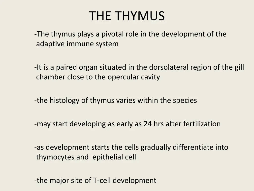 the thymus