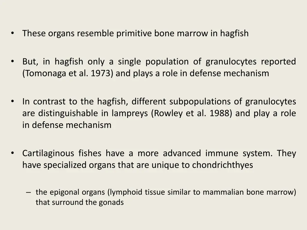 these organs resemble primitive bone marrow