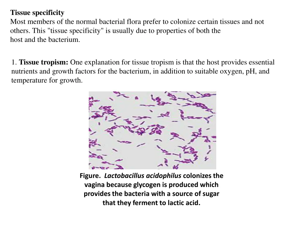 tissue specificity most members of the normal