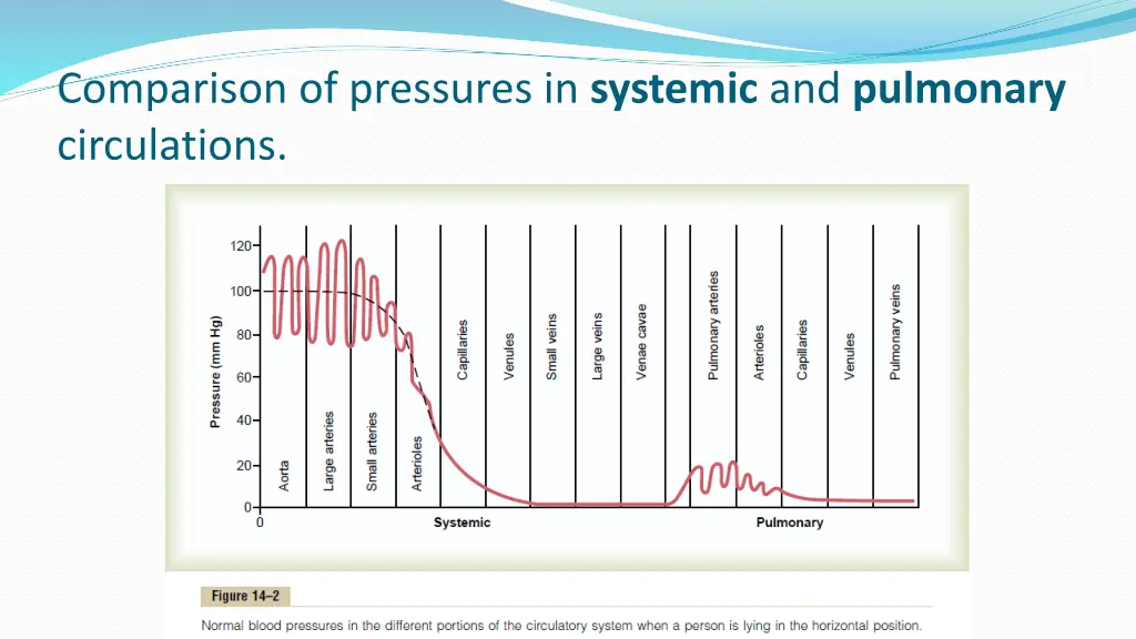 comparison of pressures in systemic and pulmonary