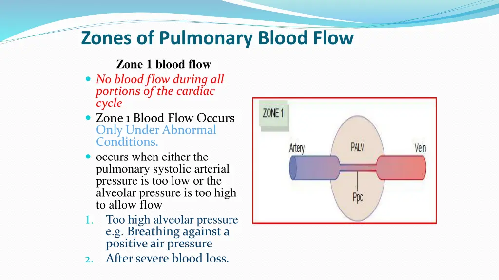 zones of pulmonary blood flow