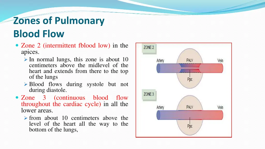 zones of pulmonary blood flow zone 2 intermittent