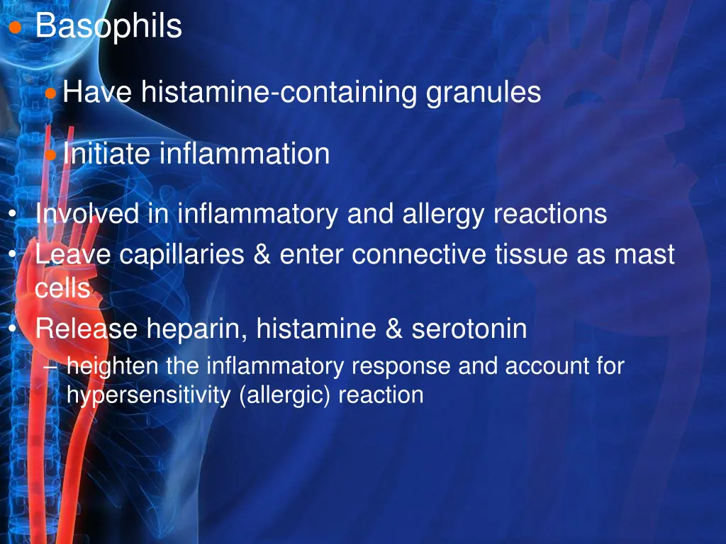 basophils