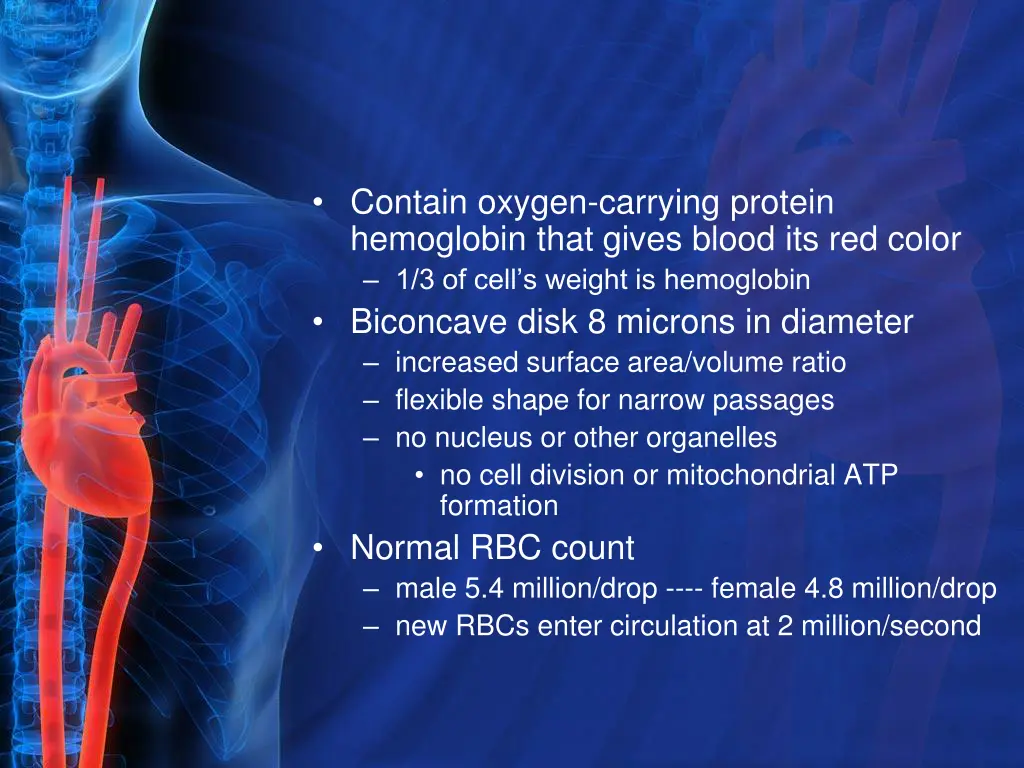 contain oxygen carrying protein hemoglobin that