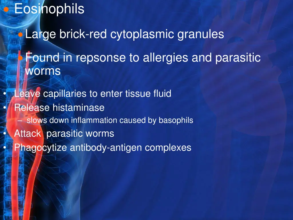 eosinophils