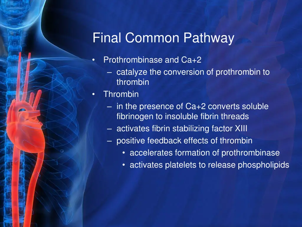 final common pathway