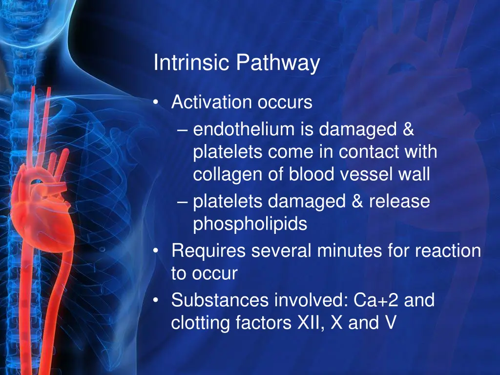 intrinsic pathway