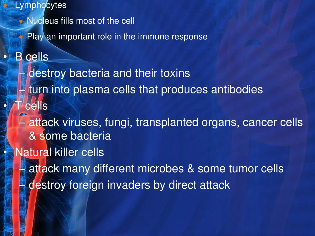 lymphocytes