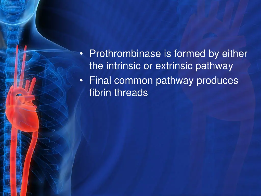 prothrombinase is formed by either the intrinsic