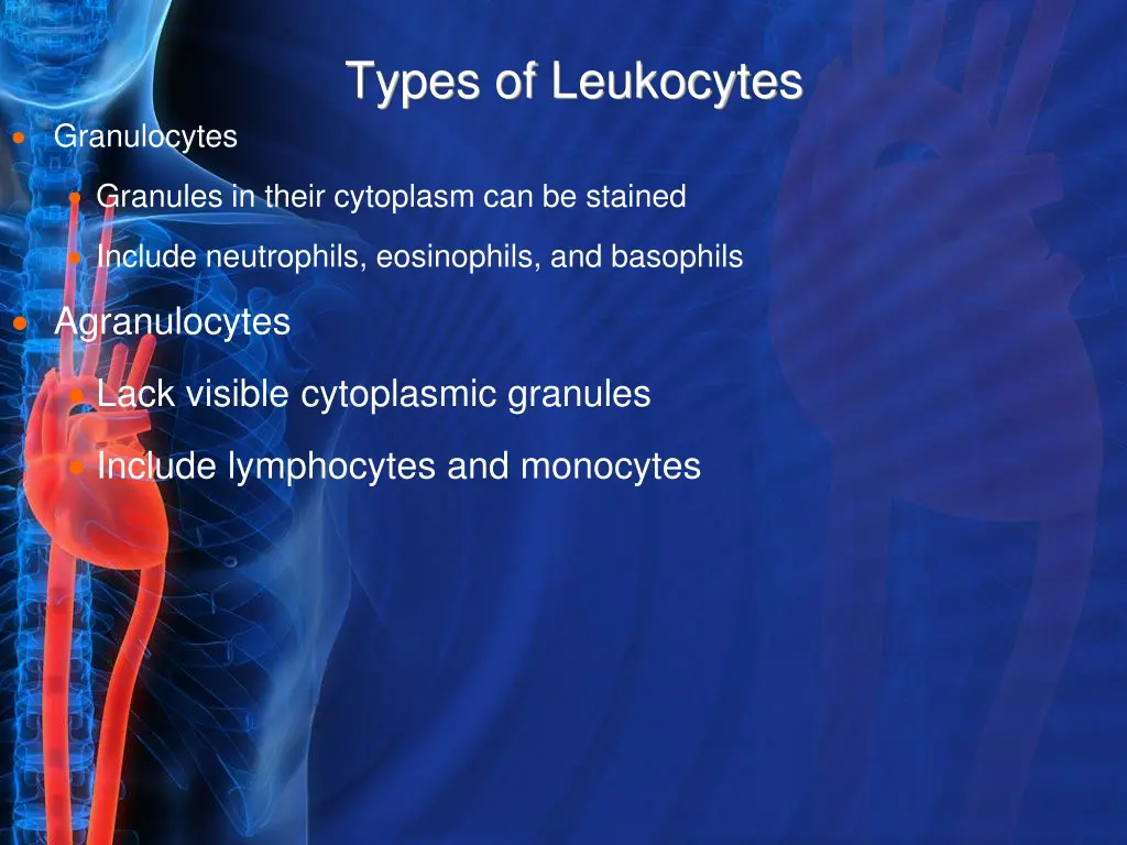 types of leukocytes