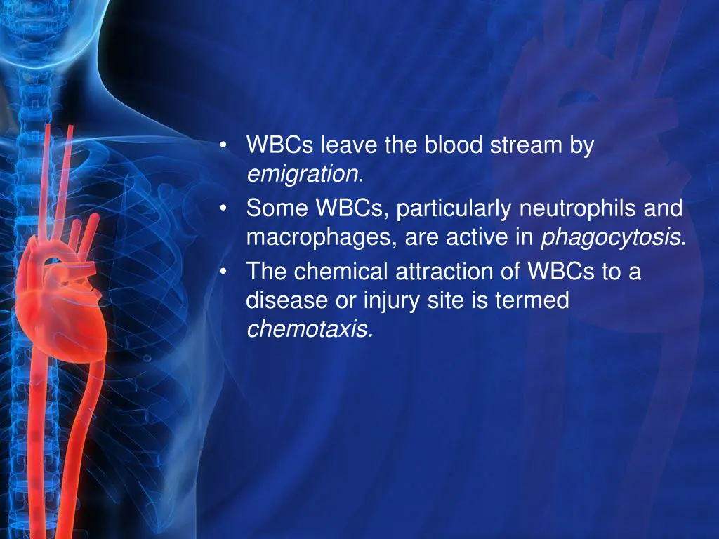 wbcs leave the blood stream by emigration some