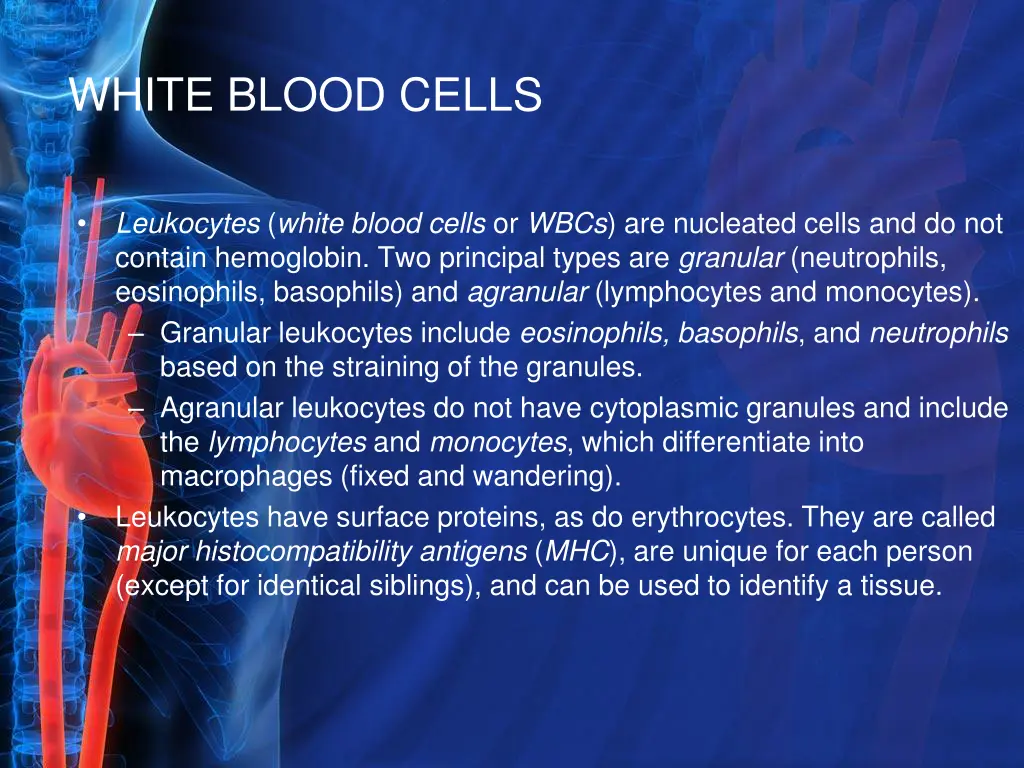 white blood cells