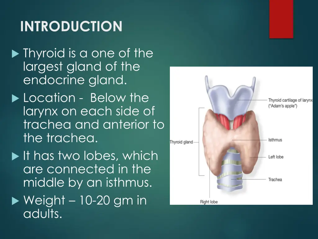 introduction