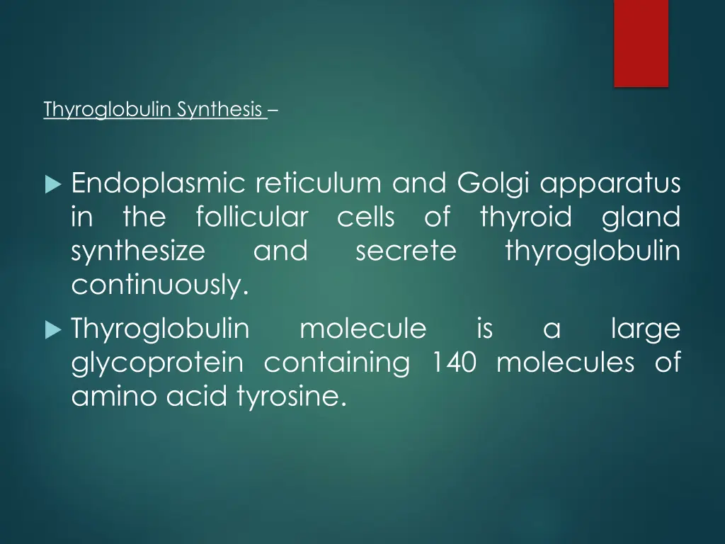 thyroglobulin synthesis