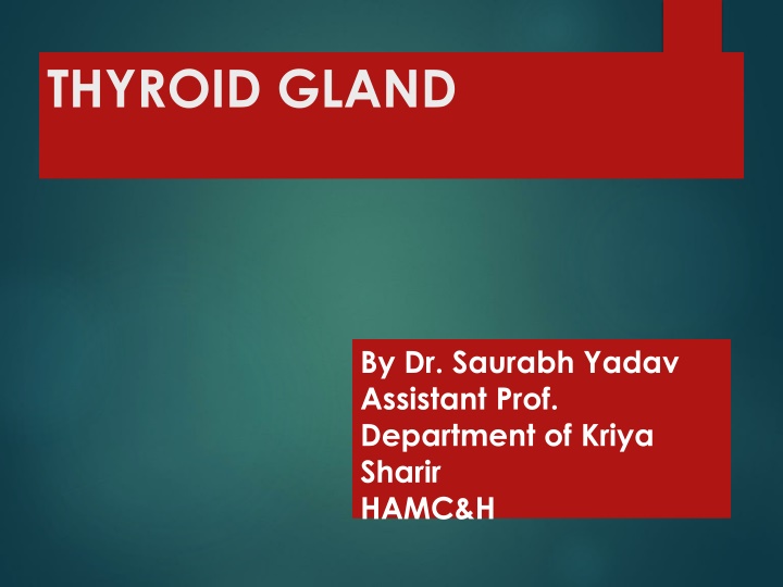 thyroid gland