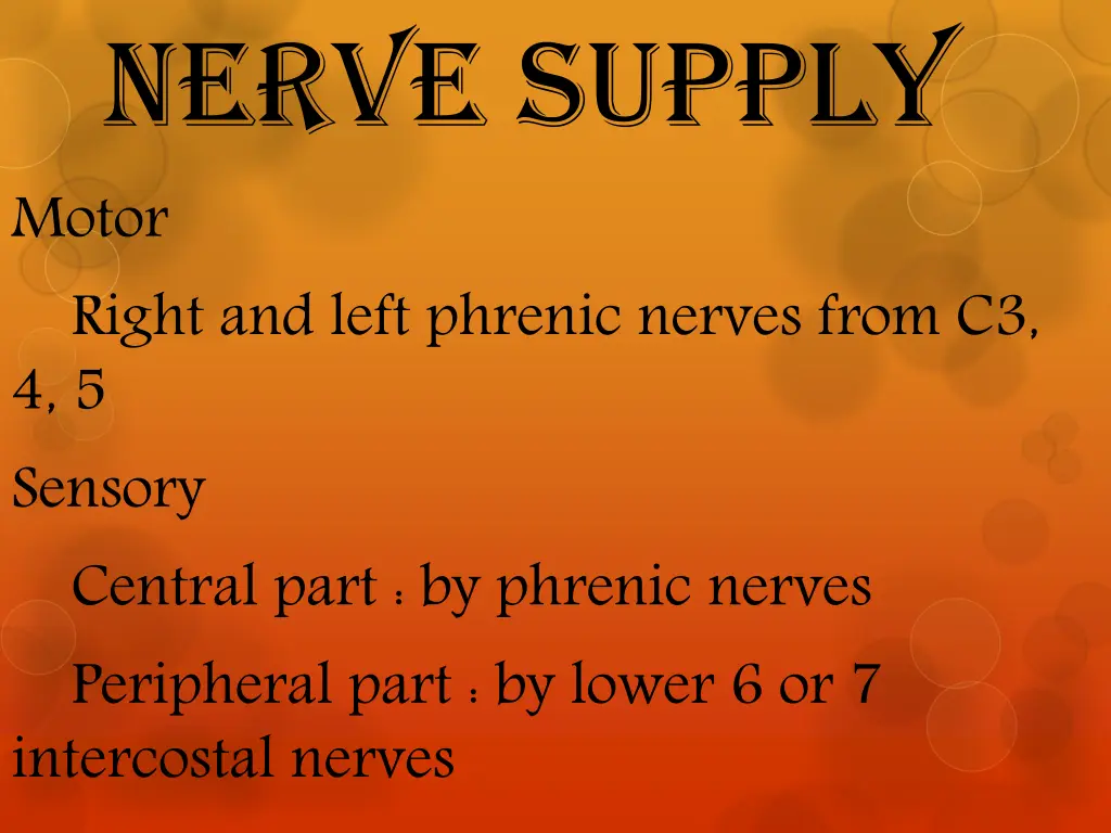 nerve supply motor right and left phrenic nerves