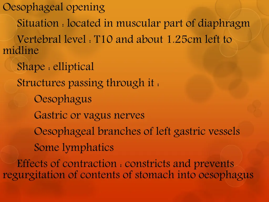 oesophageal opening situation located in muscular