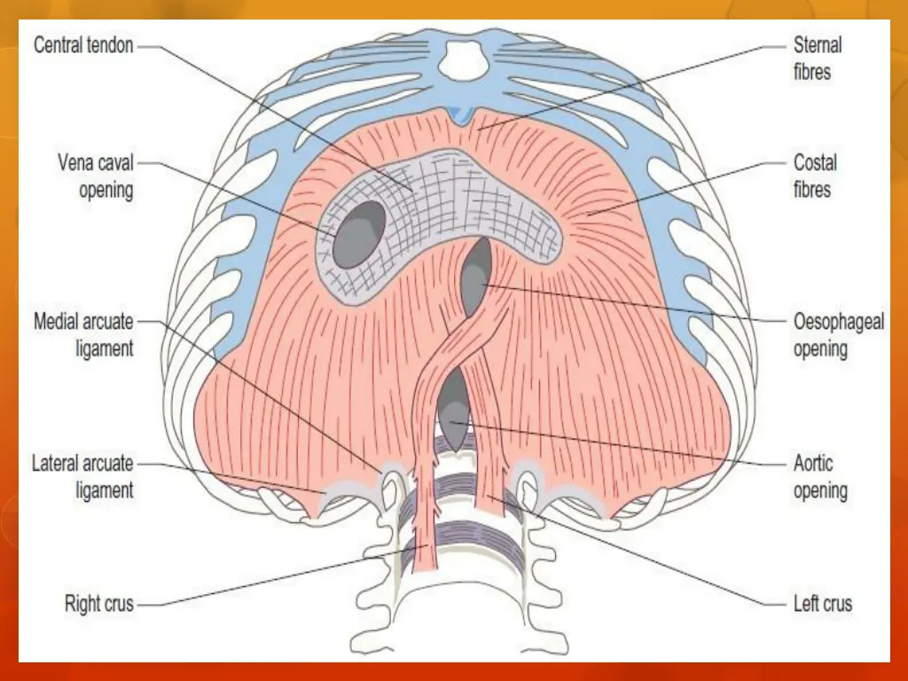 slide8