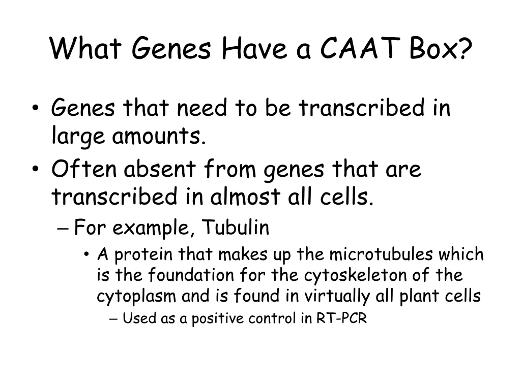 what genes have a caat box