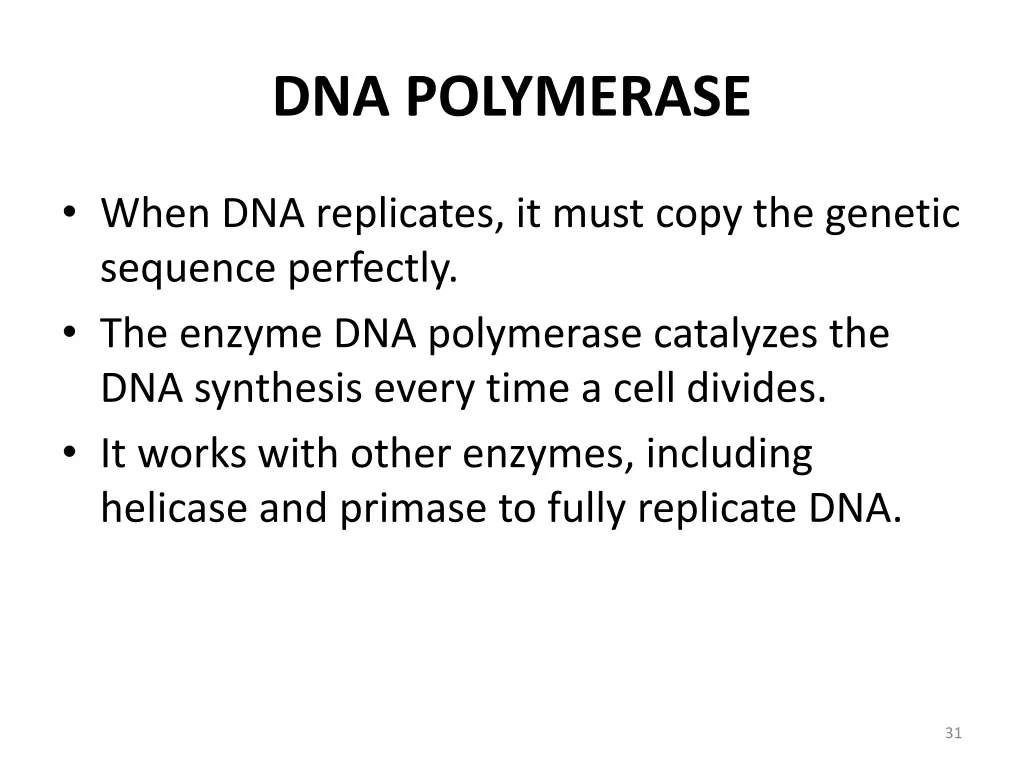 dna polymerase