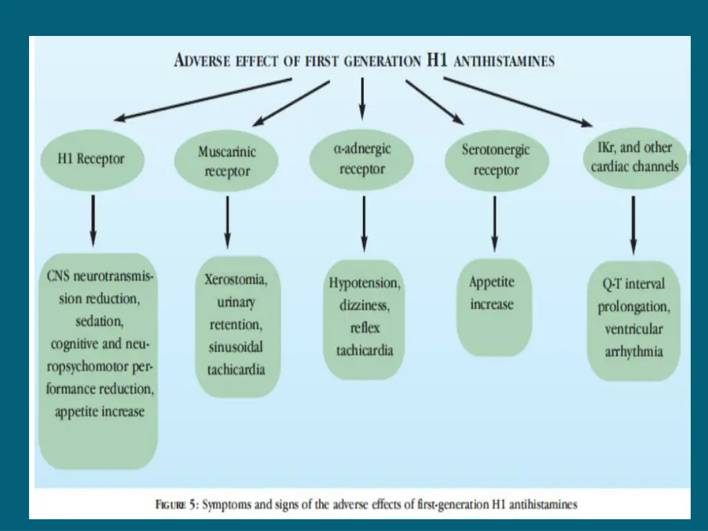 slide20