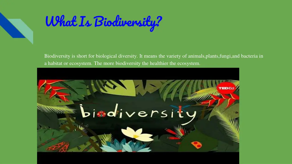 what is biodiversity