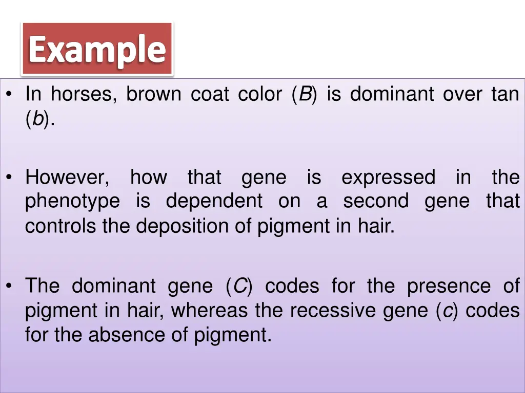 in horses brown coat color b is dominant over