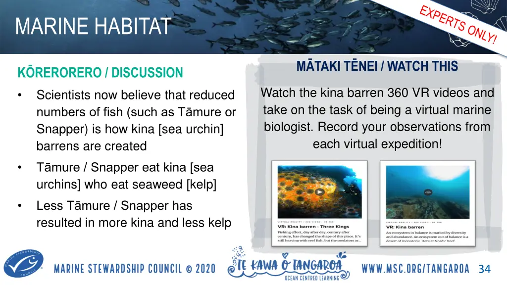 marine habitat 3