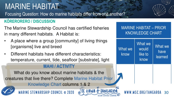 marine habitat focusing question how do marine