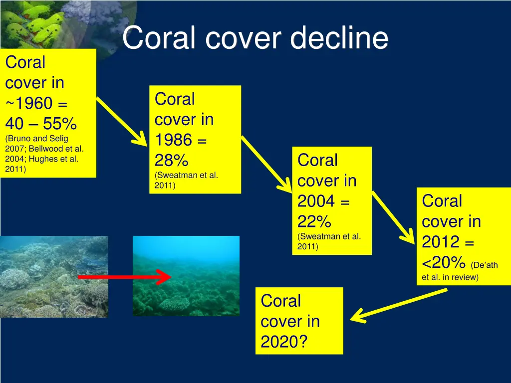 coral cover decline