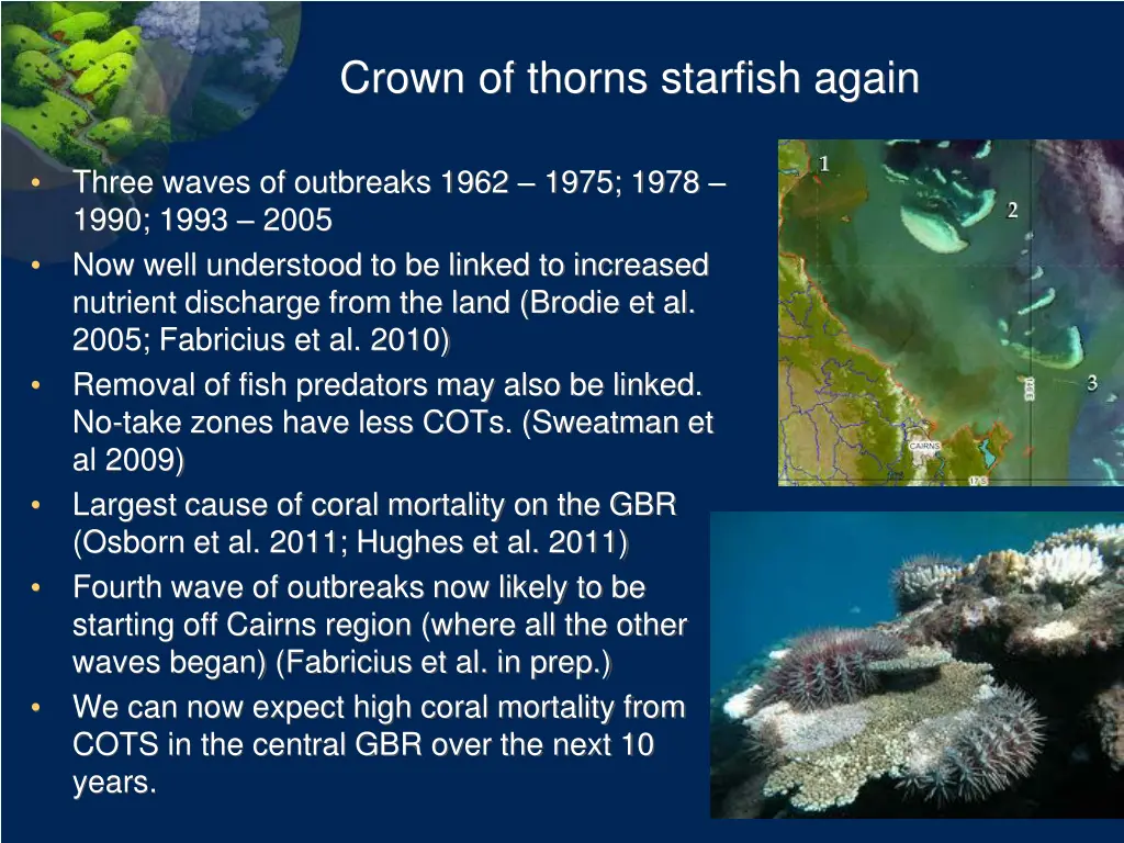 crown of thorns starfish again