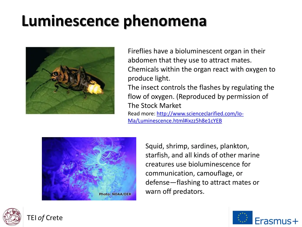 luminescence phenomena 1