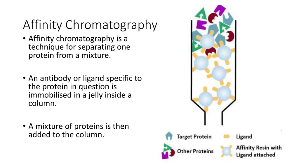 affinity chromatography affinity chromatography