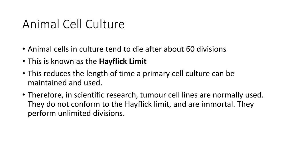 animal cell culture 1