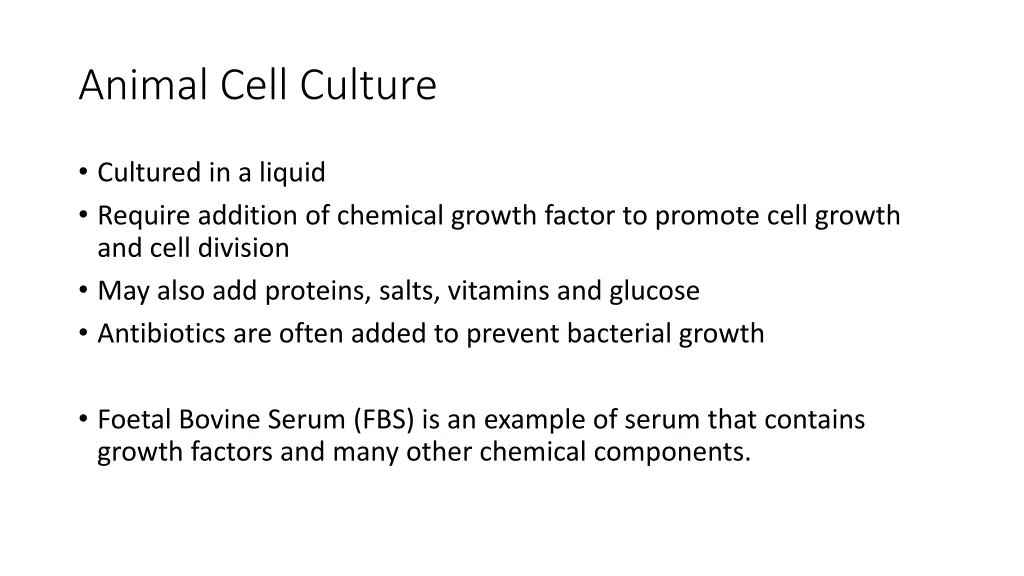 animal cell culture