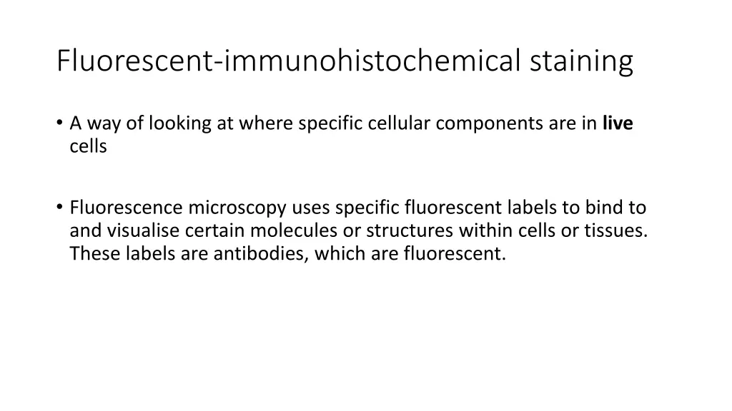 fluorescent immunohistochemical staining