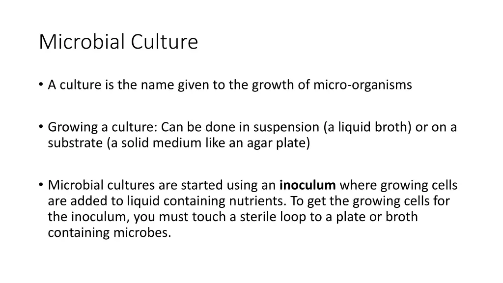 microbial culture