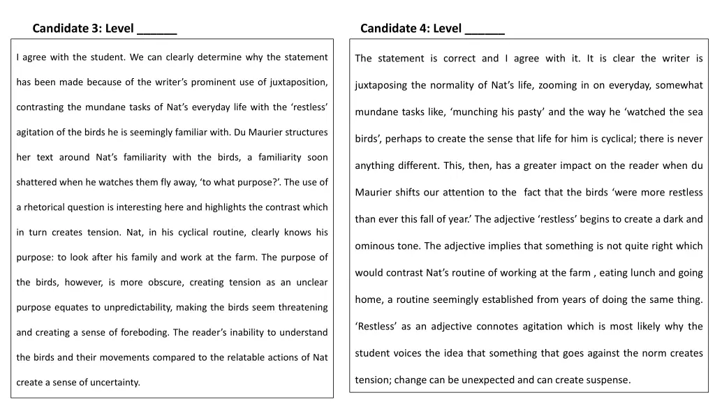 candidate 3 level