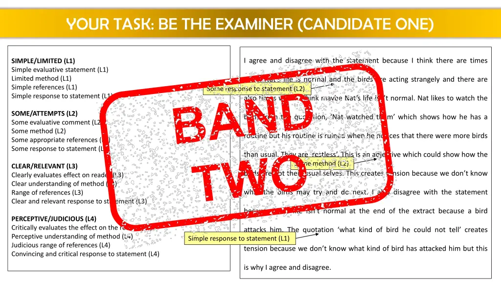 your task be the examiner candidate one 1