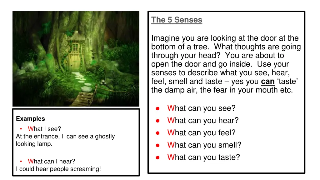 the 5 senses