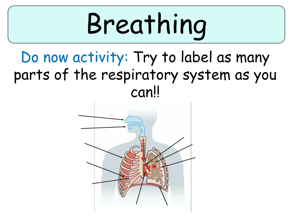 breathing