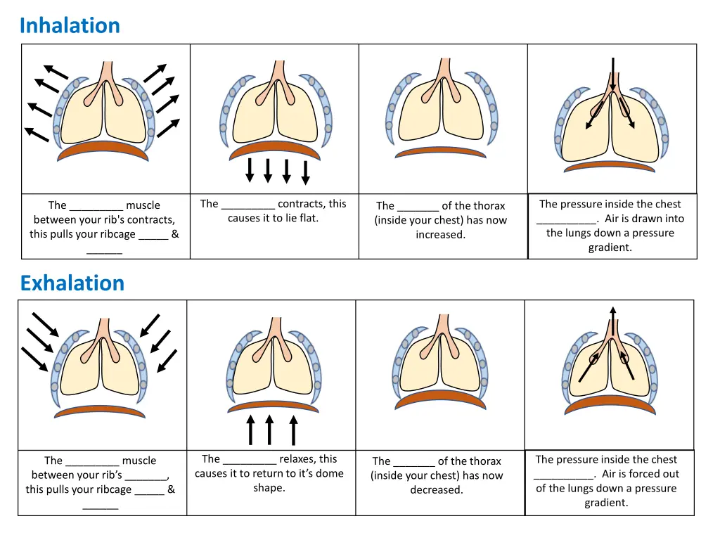 inhalation