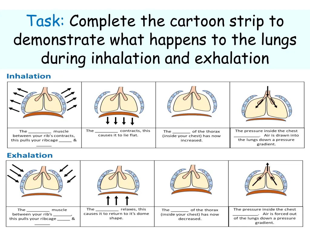 task complete the cartoon strip to demonstrate